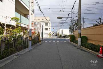 敷地南側の前面道路（西側から）