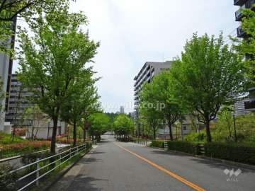 敷地南側の前面道路