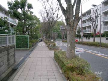 前面道路は街路樹のきれいなバス通り