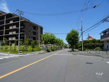敷地東側の前面道路