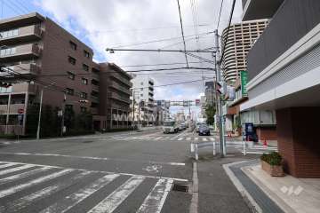 敷地の西側前面道路（南側から）