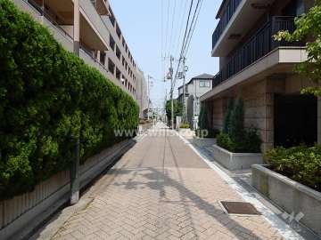 敷地北側の前面道路