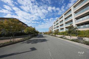 敷地南側の前面道路（南東側から）