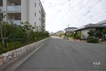 敷地北西側の前面道路（北側から）