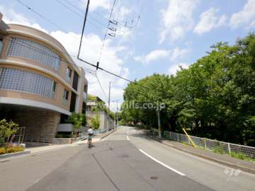 敷地東側の前面道路。道を挟んで向かい側に豊楽公園があります。