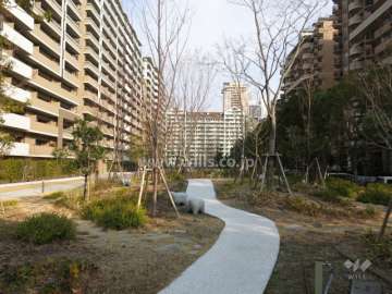 敷地に隣接する公園