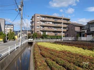 周辺は住宅の他、田畑も多いのどかな雰囲気の住宅地です。