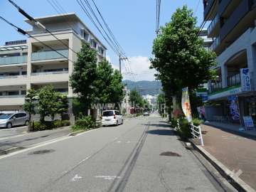 敷地東側の前面道路