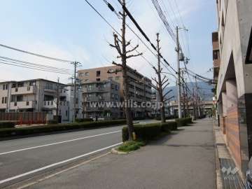 敷地西側の前面道路。街路樹、歩道のある4車線の通りです。