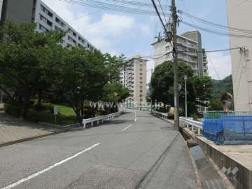 敷地の前面道路