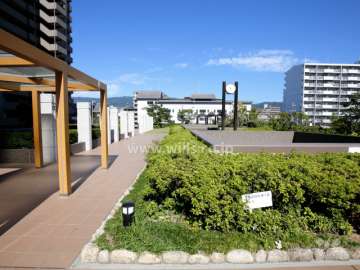 駐車場棟屋上の庭園
