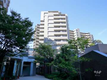 コスモシティ住吉川公園Ｂ棟の外観（東側から）