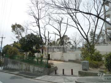 敷地の南側に公園があります。