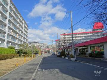 敷地北西側の前面道路（南西側から）