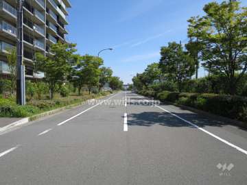 敷地南側の前面道路