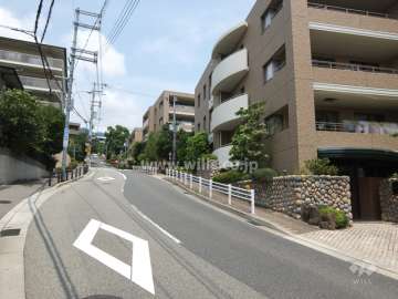 敷地西側の前面道路（南側から）
