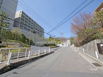 敷地東側の前面道路