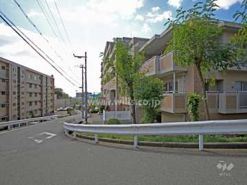 敷地南側の前面道路