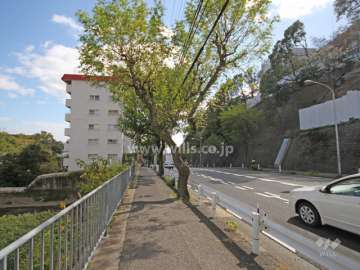敷地西側の前面道路