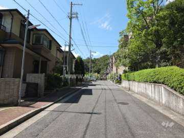 敷地南東側の前面道路（北東側から）