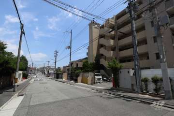 敷地北側の前面道路
