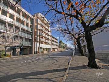 敷地南側の前面道路