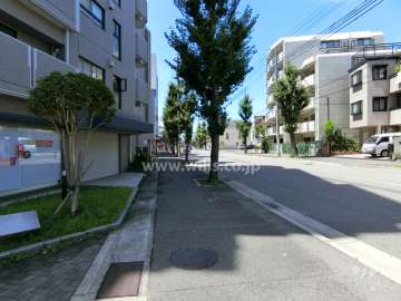 敷地北側の前面道路