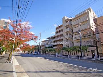 敷地北側の前面道路