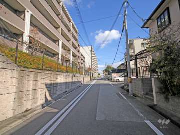 敷地南側の前面道路