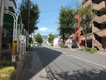 敷地西側の前面道路（北側から）