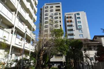 グランパレ六甲道サウスタワーの外観（西側から）