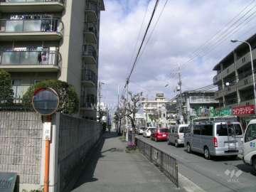 敷地の東側は二車線のバス通りです。
