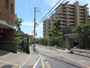 敷地東側の前面道路