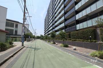 敷地南側の前面道路。向かい側に「市立西郷小学校」があります。