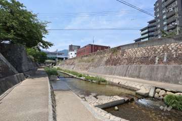 敷地の西側約30ｍの距離に「都賀川」が流れています。