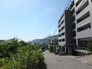 敷地南側の前面道路（東側から）