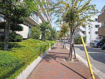 敷地南側の道路・歩道