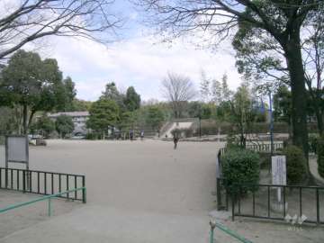 敷地内の広々とした公園