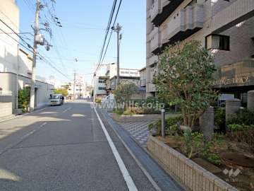 敷地北側の前面道路
