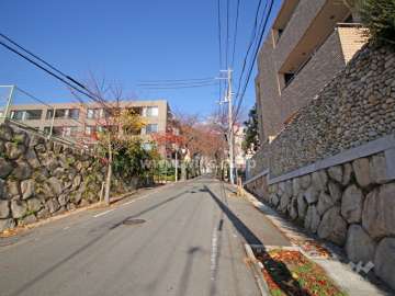 敷地西側の前面道路