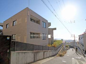 敷地東側の前面道路