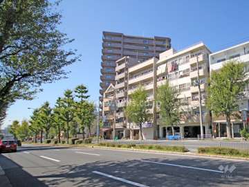 敷地南東側の前面道路