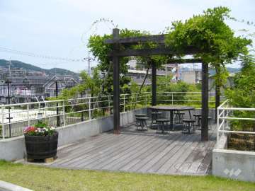 コミュニティガーデン