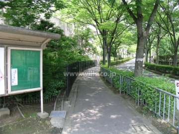 敷地の南側は街路樹のきれいな通りに面しています。