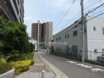敷地南側の前面道路（西側から）