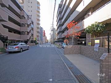 敷地南側の前面道路