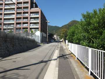敷地東側の前面道路（南側から）