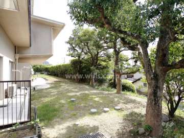 敷地南西側の植栽スペース