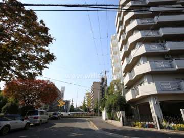 敷地南側の前面道路