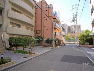 敷地北側の前面道路